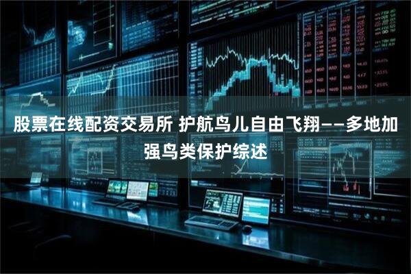 股票在线配资交易所 护航鸟儿自由飞翔——多地加强鸟类保护综述