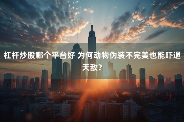 杠杆炒股哪个平台好 为何动物伪装不完美也能吓退天敌？