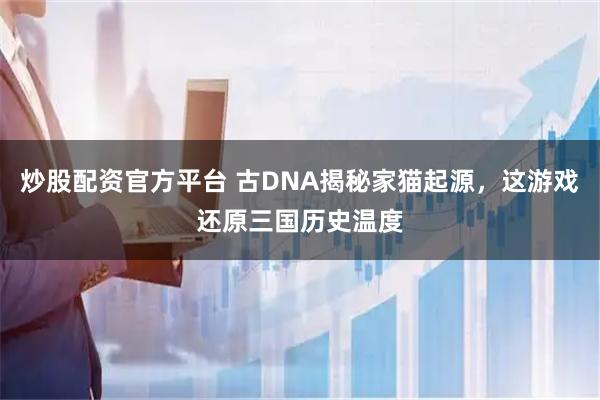 炒股配资官方平台 古DNA揭秘家猫起源，这游戏还原三国历史温度
